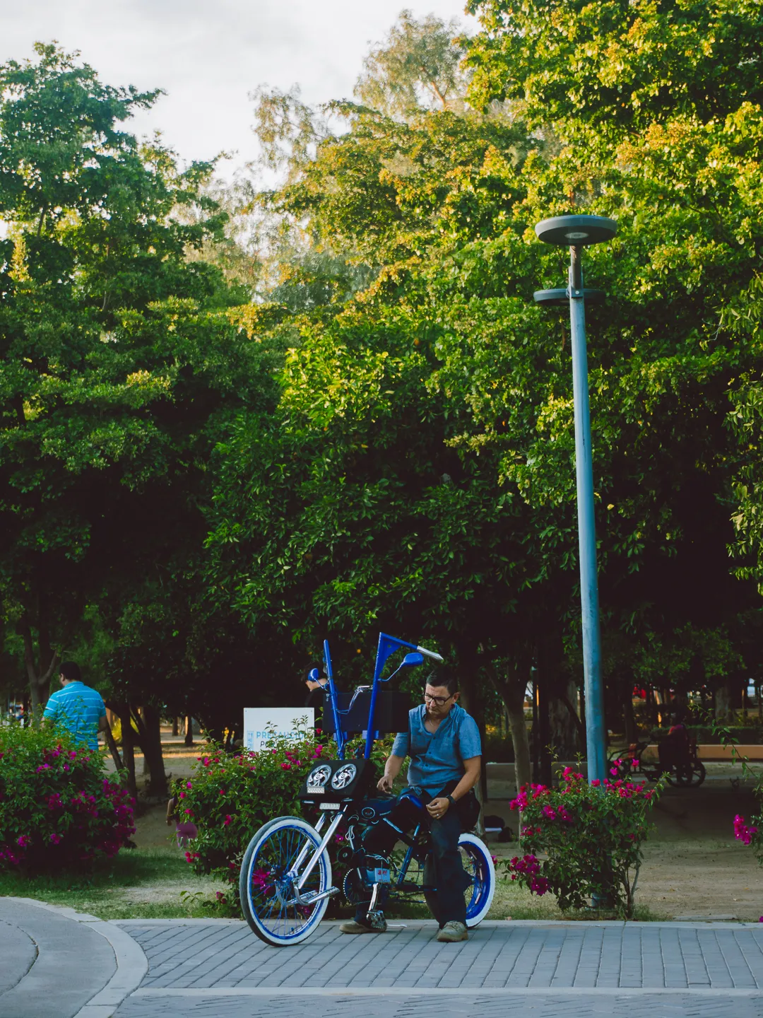 Tarde en el parque