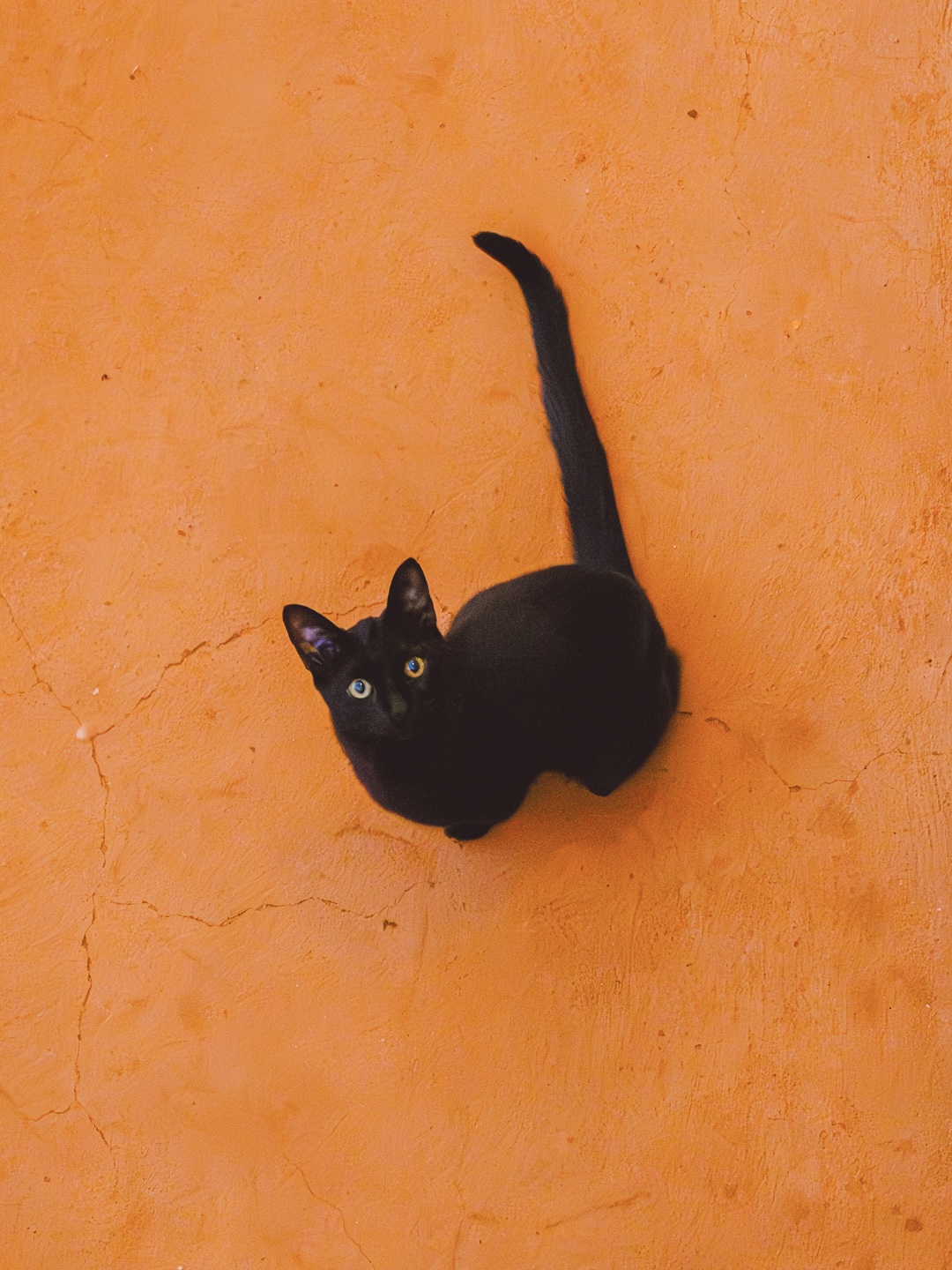 Fotografía 4
